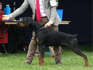 Ruholfia El Drico , 14 months