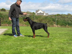 Ruholfia Alani, 20 months old