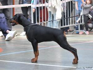 Ruholfia Capri, 4 months old