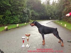 Multi Champion Ruholfia Bardot, ZTP V1A