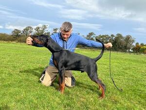 Beautiful Black Male Puppy available