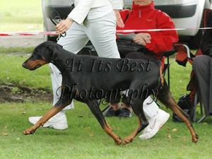 Dam : Ruby, on the move