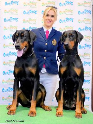 Sire: Ruholfia Kendo, Jun Ch, Belgium Winner '19