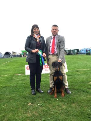 Ruholfia Freyja Best Puppy in Breed Oct '15