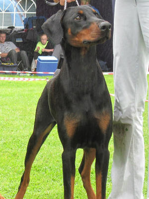 Ruby