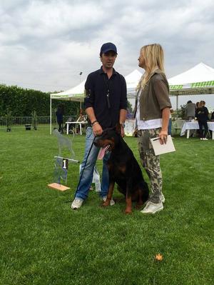 Lucinio, 1st Young Class Aiad 