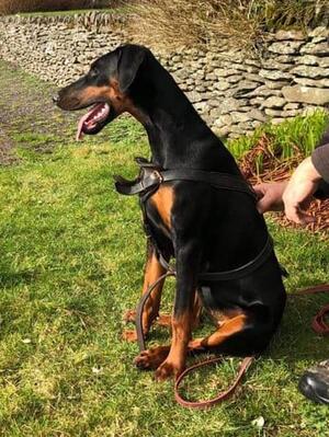 Ruholfia Luciana, 7 months old