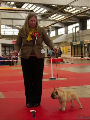 Phoebe Winning Puppy Group 3