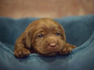 Mia when she was three weeks old