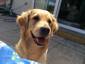 Our meg
