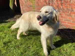 Libby - March 2021