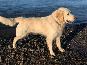 Overwater Leading Lady