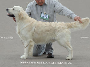 Jobeka Just One Look At Telkaro JW