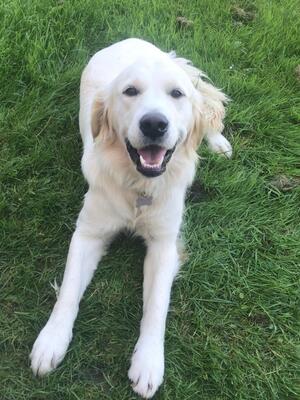 Libby - March 2021
