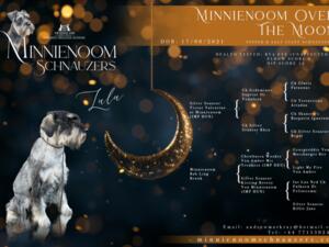 Minnienoom Over The Moon