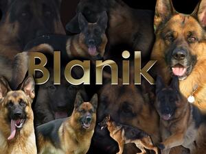 Welcome To Blanik
