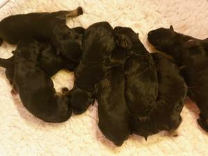 24 hrs old