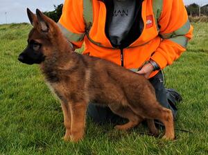 Meerah At 12 weeks