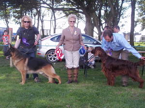 Best In Show