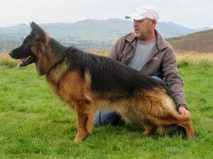 Zeus 18 monts