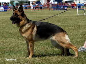 Blanik Georgette winning SY at Blackpool