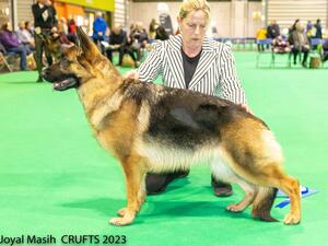 Crufts 2023