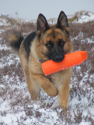 At Play