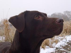 Tia, mother, ripley 2013