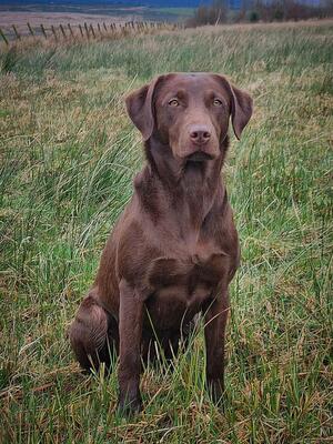 Hazel (Kalis daughter)