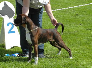 Amara at her second show.