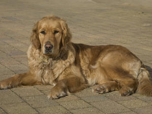 Crystal at 19 months