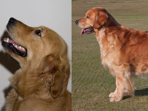 Daisy and George