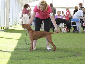 Bath Champ Show Isaly