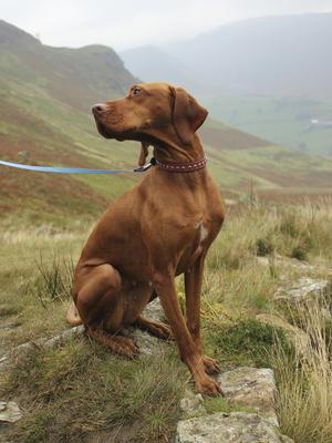 Lorn in the Lake District