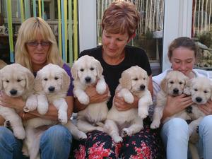 litter nearly 7 weeks old