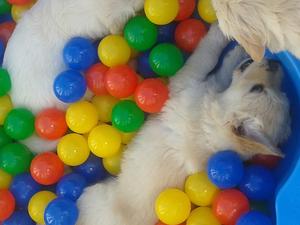 Playtime