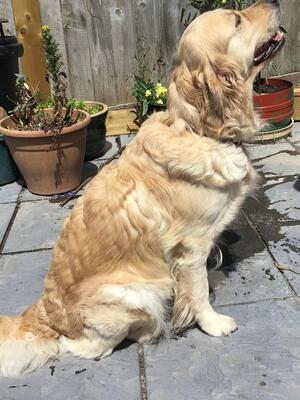 Beautiful Nell