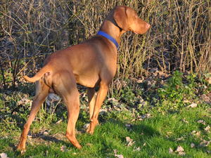 I'm sure there's a bird in there!