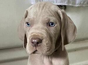 arent I handsome!