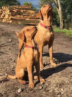 Emmas Red Girl with Stoorhoose Ellie Rose