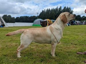 Adel at 8 months Old