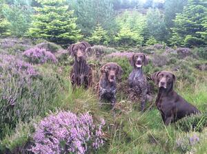 Esse, Breeze, Rannoch & Torridon