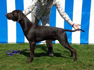 Torridon - 2 years old