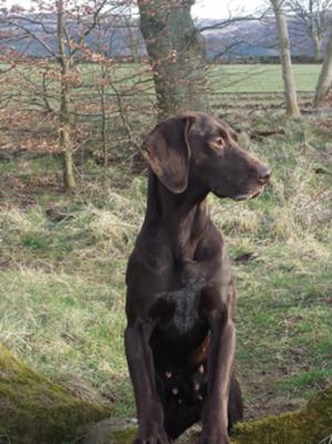 Rannoch (Mother)