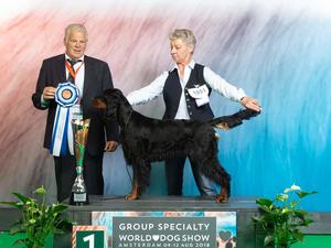 Fieldtalk's lady in red at the world show 8 months