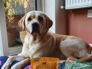 Posing with some Skinners treats from a dog show