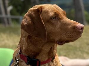 Purdey - Mother