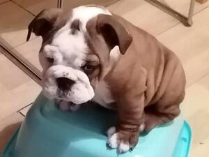 Gigi as a baby