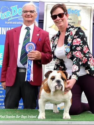 2nd in Group 2 @ Deise CH Show