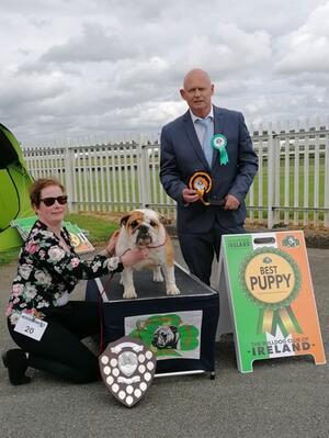 Zeneca Best Puppy BCOI 2022